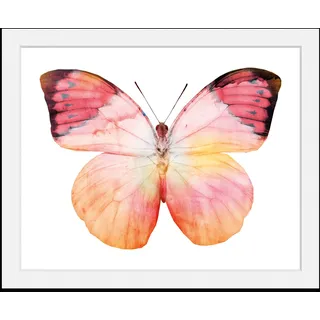 Bild QUEENCE "Elli" Bilder Gr. B/H: 50 cm x 40 cm, Wandbild Schmetterlinge Querformat, 1 St., rosa Kunstdrucke