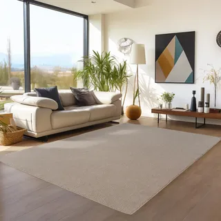 Teppium Teppich 120x170 cm Beige Einfarbig Bouclé Schlingenflor Skandi Stil Modern Superweich Robust Pflegeleicht für Wohnzimmer Schlafzimmer Esszimmer Kinderzimmer Jugendzimmer