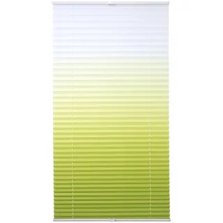 Plissee LIEDECO "Farbverlauf" Gr. 5, grün, B:90cm H:130cm, Obermaterial: 100% Polyester, Plissees