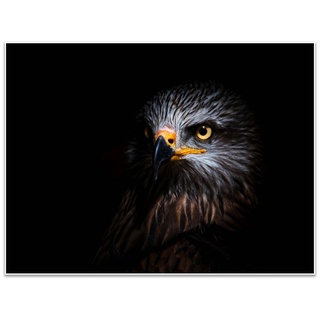 wandmotiv24 Poster Adler, Vogel, Kopf, Schwarz & Weiss (1 St), Wandbild, Wanddeko, Poster in versch. Größen schwarz 80 cm x 60 cm x 0.1 cm