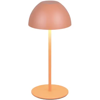 Trio Ortiz Apricot