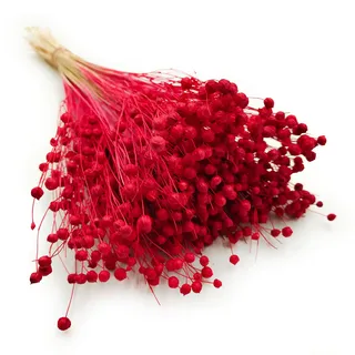 Enchanted Dekogras Getrocknetes Gras Flachs Ziergras Leinen Trockenblumen Natürlich Boho 80 Stück Rot