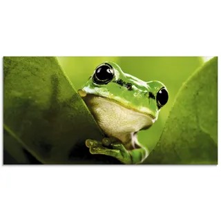 ARTland Wanddeko Glasbilder Wandbild Glas Bild einteilig 60x30 cm Querformat Natur Tiere Frosch Gesicht Laubfrosch Porträt Grün T5VH