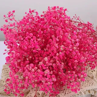 2000+ STK Getrocknetes Schleierkraut, 43 cm Pink für Hochzeit & Vase | Natürliche Gypsophila-Zweige, Trockenblumen, Tischvasendekor, DIY-Kranzfloristik, Heim- Büro- Party- Gartendekor, langlebige