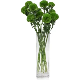 DRERIO 40 cm Glasvase Gross Blumenvase Modern Bodenvase Groß, Glas Vasen Durchsichtig Vase Glas Hoch Rechteckige Vasen für Orchideen, Rosen, Tulpen, Pampasgras, Tischdeko, Kerze (12 L*12 B*40 H cm)