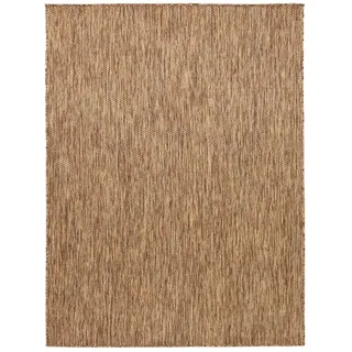 TT Home Outdoor-Teppich 300 x 400 cm Braun