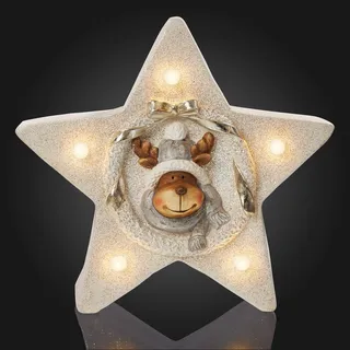LED Figur Stern Keramik Rentier Motiv Deko beleuchtet Weihnachten Winter 5 LED