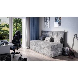 FURNIX Tagesbett Sofa mit Bettkasten Kopfteil und Kissen BENCHI 200x90 Grau SRR19