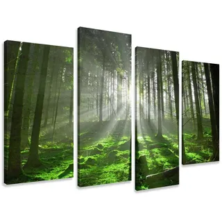 Visario Leinwandbild 4-teilig XXL 120x80 cm 6130 - Wald mit Sonnenstrahlen - Licht zwischen hohen Stämmen - Wandbild-Set fertig aufgespannt auf Holzrahmen