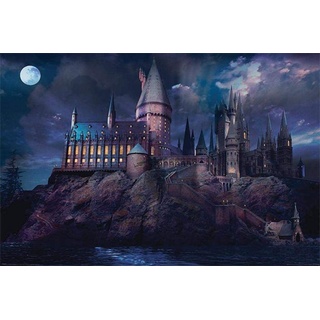 Diamond Painting Kits for Adults Harry Potter Diamond Art 5D Paint with Diamonds DIY Paint by Number with Gem Art Drill 30,5 x 40,6 cm
