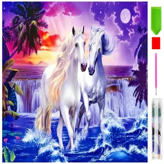 Realb2b Malen nach Zahlen XL 5d Diamond Painting Weiße Pferde Malen nach Zahlen 40x50cm (Komplettset für 5D Diamond Painting inklusive Leinwand, Diamanten und Werkzeugen, Diamond Painting Set mit Zubehör für DIY-Kreativität und Entspannung), 40x50cm 5D Diamond Painting mit präziser Klebeschicht & Zubehör