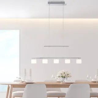 Paul Neuhaus GREZIA 5-flg. 80 x 120 cm silber grau weiß Stahl Glas