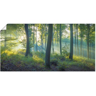 Wandbild ARTLAND "Wald Panorama" Bilder Gr. B/H: 150 cm x 75 cm, Poster, grün Bilder als Alubild, Leinwandbild, Wandaufkleber oder Poster in versch. Größen