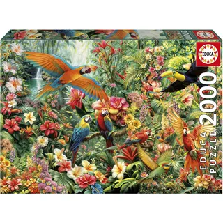 Educa - 2000-Teile-Puzzle für Erwachsene | Vögel des Amazonas | Maße: 96 x 68 cm | Ab 14 Jahren (20574)