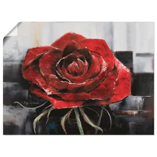Wandbild »Blühende rote Rose«, Blumen, (1 St.), als Leinwandbild, Poster, Wandaufkleber in verschied. Größen, 90345714-0 rot B/H: 80 cm x 60 cm