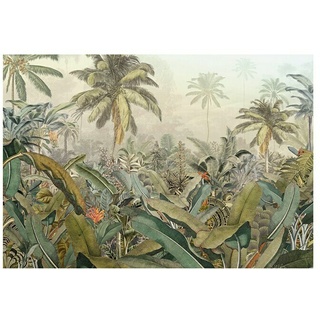 Komar Into Illusions Fototapete Amazonia  (4 -tlg., B x H: 368 x 248 cm, Vlies)