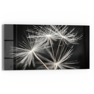 DEQORI Glasbild 'Samen der Pusteblume', 'Samen der Pusteblume', Glas Wandbild Bild schwebend modern grau|schwarz|weiß
