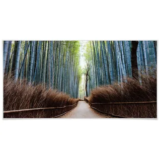 Poster WALL-ART "Bambuswald Fotokunst Japan" Bilder Gr. B/H/T: 150 cm x 75 cm x 0,1 cm, Höhlen, 1 St., bunt Poster ohne Bilderrahmen