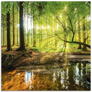 ARTland Wanddeko Glasbilder Wandbild Glas Bild einteilig Quadratisch Wald Natur Landschaft Bäume Bach Sonne Frühling T9IO