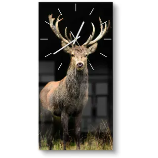 DEQORI Glasuhr | horizontal 30x60 cm | Motiv Majestätischer Hirsch | große XXL Design Uhr aus Glas | leise Wanduhr für Wohnzimmer & Küche | moderne Hingucker Uhr für die Wand