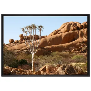 Pixxprint Baum im Steingebirge Leinwandbild 100x70 cm im Bilderahmen, Wandbild, Schattenfugenrahmen, Kein Poster