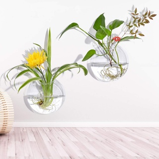 2 Stück größere Glasschalen für hängende Pflanzen, 15,2 cm große Glasvase für getrocknete Blumen, Tillandsien, Luftpflanzen, Wandbehang, Sukkulenten, Pflanzgefäße
