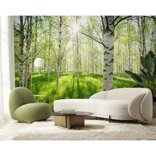 PaxGloz Fototapete Birkenwald Grüner Wald Tapete Frühlingswald Tapeten Vliestapete Modern Wandtapete Wohnzimmer Schlafzimmer Kinderzimmer Wanddeko Motivtapeten 450 x 315 cm (B x H)
