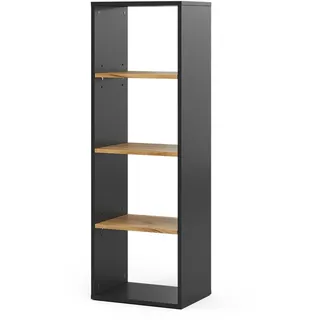 Vicco Bücherregal Tomy 40 x 30 x 120 cm Anthrazit/Goldkraft Eiche