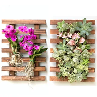 ShopLaLa Wand-Pflanzgefäß, Orchideen-Pflanzgefäß, Holz, für den Außenbereich, Wandhalterung, Luftpflanzen, Sukkulenten-Halter, Aufhänger, vertikale Gartenpflanze, Wanddekoration, 40 cm, 2 Stück