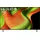 OLED55B59LA 55" 4K OLED AI Smart TV B5