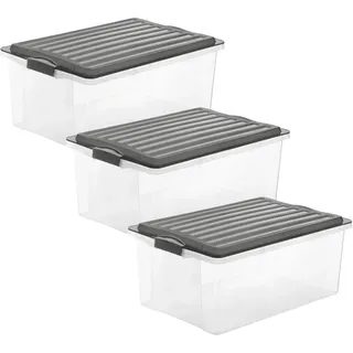 Rotho Aufbewahrungsbox Compact 57,5 x 40,0 x 25,0 cm 3-tlg. grau/transparent