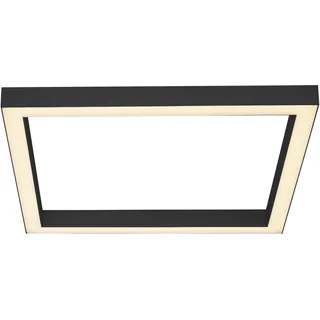Paul Neuhaus PURE Lines Square 1 LED quadratisch grau