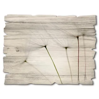 Holzbild ARTLAND "Pusteblumen-Samen I", grau (farbe bild(er): grau), B:40cm H:30cm, Holzwerkstoff, Bilder