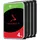 4 TB 3,6" ST4000VNZ06 4 St.