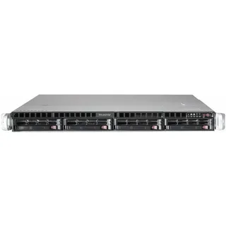 bluechip SERVERline R31308s 32 GB, Rack Server), Server