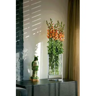PHILIPPI - Decade Vase L - Klassiker Blumen schweben über dem Tisch - Zeitlos und Elegant