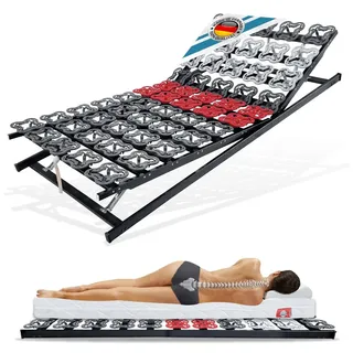 Matratzen Perfekt Tellerlattenrost T-Flex verstellbar 100 x 200 cm