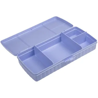 Tupperware Pausenbuffet - Brotdose mit Einteilung + Ketchuplöffel erdbeer