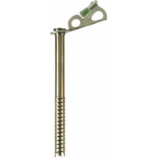 Black Diamond Express Ice Screw