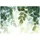 Natur Grün Vlies Tapete Wohnzimmer 400x280 cm