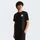 Evolution Box Half Dome TNF Black