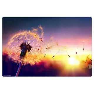 cover your desk Cover-your-desk Schreibtischunterlage für Kinder und Erwachsene Pusteblume im Sonnenlicht, aus hochwertigem Vinyl , 60 x 40 cm
