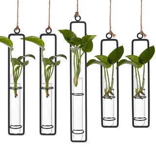 INTERWARM 5 Set Hängende Glas Vermehrungsstation 3 Stil Eisenrahmen Transparente Reagenzglas Pflanzvase Wandmontierte Hydrokultur Pflanzgefäße Für Den Innen Und Außenbereich Balkon Wohnbereich