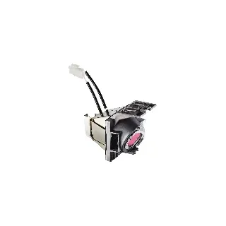 ViewSonic Lampe VIEWSONIC RLC-117