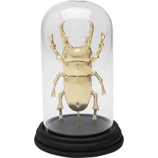 Kare Deko Objekt Bell Jar Hercules Beetle 20cm