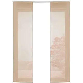 Gardinenbox Vorhang, 2ER SET HxB 245x60 cm, Sand,