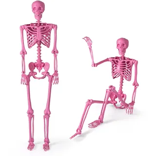 COSTWAY Halloween Deko Skelett, 160 cm, Skelette mit beweglichen Gelenken & Seil, Lebensgroße Halloween Dekoration, Plastik, für drinnen, draußen, Friedhofspartys und Spukhaus-Partys (Rosa)