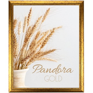 myposterframe Einzelrahmen »Bilderrahmen Aged Vintage Pandora«, (1 Stück), 45x60 cm, Gold, Echtholz goldfarben