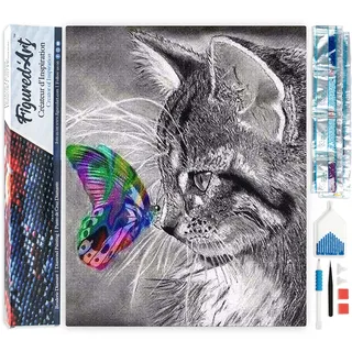 Figured'Art Diamond Painting Erwachsene 40x50cm Ganze Leinwand gerollt Katze und bunter Schmetterling 5D Bilder Eckige Steine - DIY Set Basteln