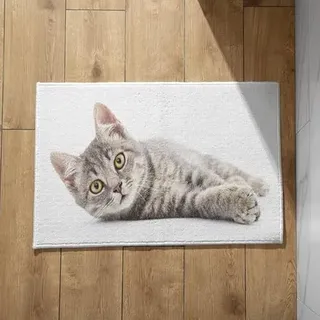Isdreem Abtreter Fußmatte Außen Lustig Türmatte Outdoor Katze Fußmatte Groß Dusch Fussmatte Zum Füsse Waschen rutschfeste, Leichte Dekorationsmatten Aus Plüschbaumwolle, 40x60cm